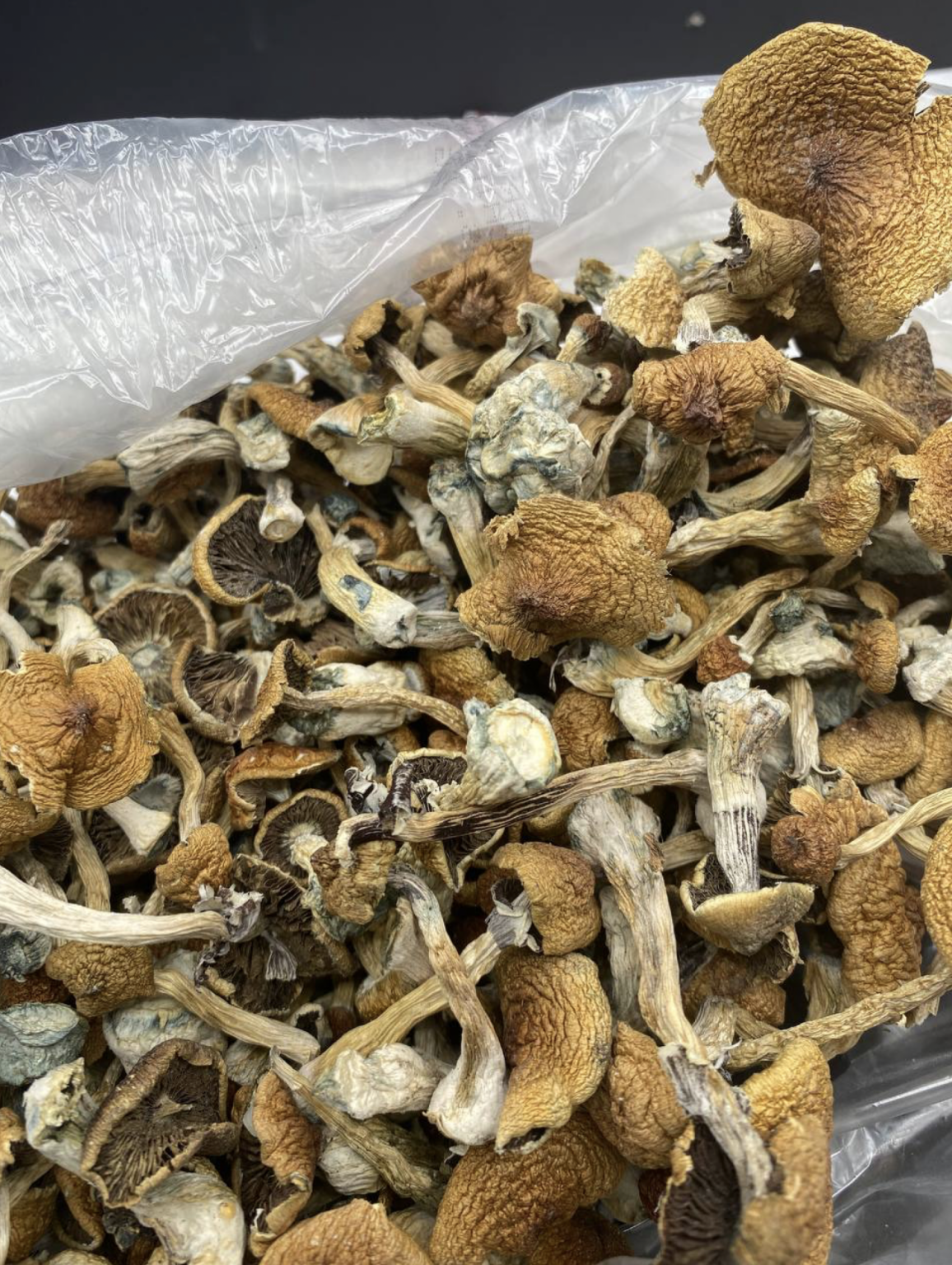 Golden Penis Envy Shrooms