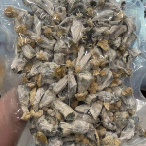 Buy Yeti Exotic Shrooms