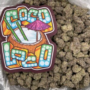 Coco Loco Flower