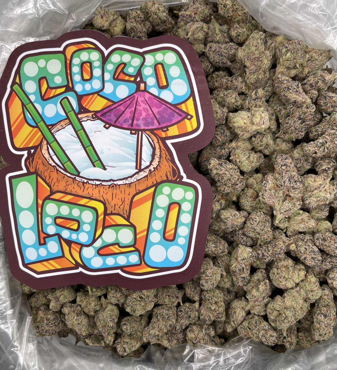 Coco Loco Flower