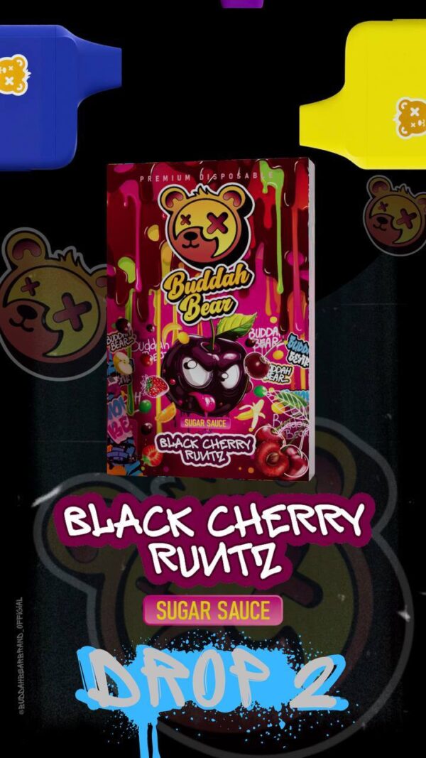 Buddah Bear Black Cherry Runtz Disposable