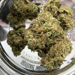 CURE COMPANY EXOTIC FLOWER