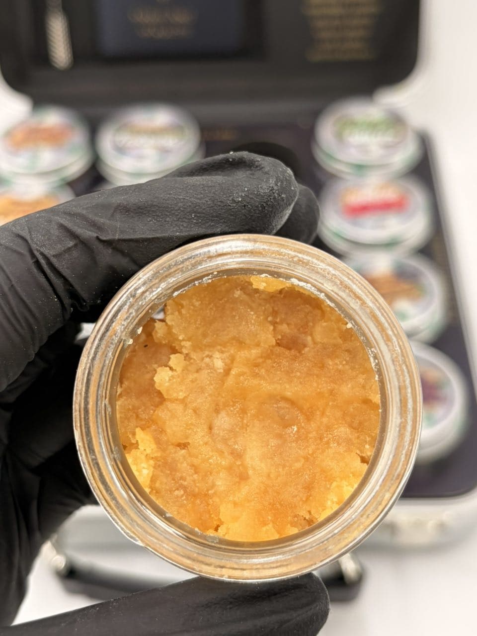 Whole Melt Wax Passport Edition Whole Melt Wax Passport Edition